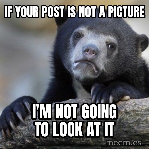 Confession Bear meme: If your post is not a picture / i'm not going to look at it