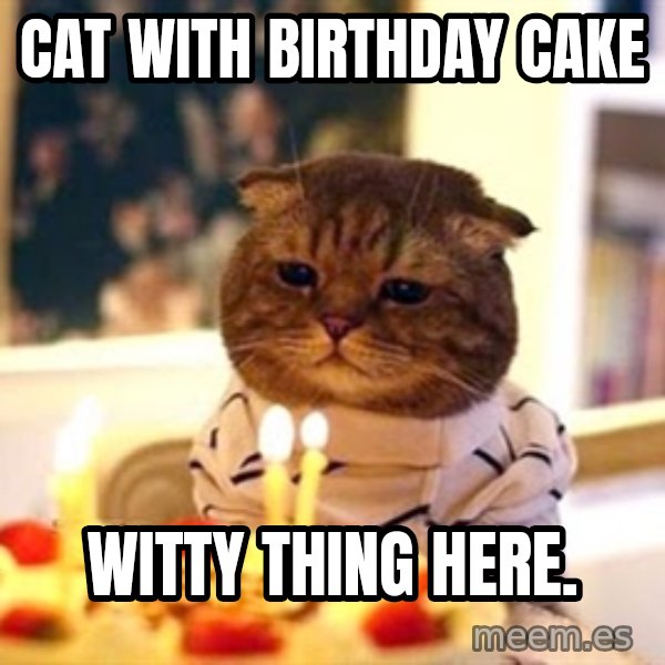 Birthday Cat meme: CAT WITH BIRTHDAY CAKE / WITTY THING HERE.