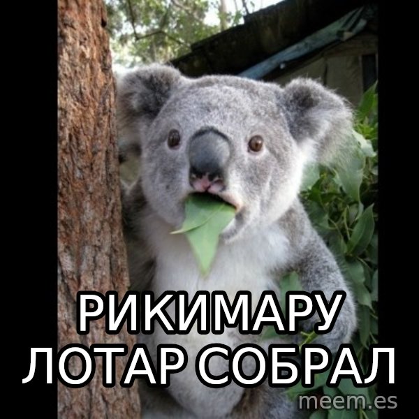 Koala can't believe it meme: рикимару лотар собрал