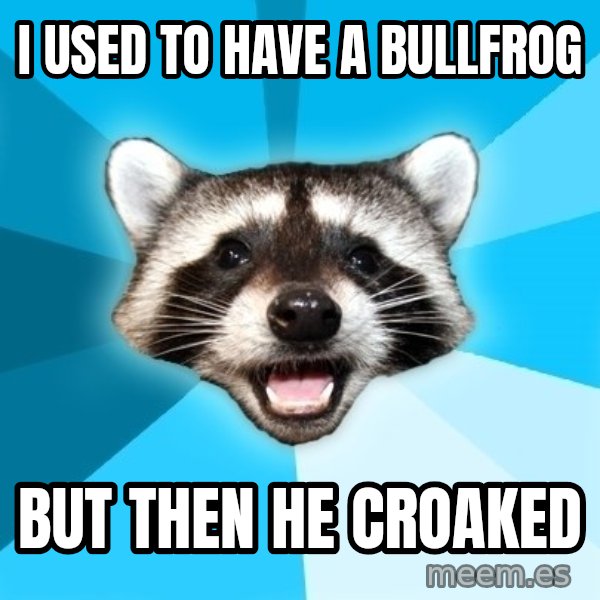 Lame Pun Coon meme: i used to have a bullfrog / but then he croaked