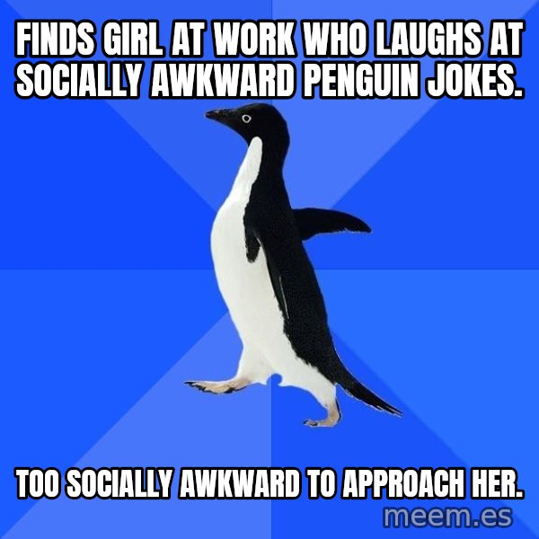 Socially Awkward Penguin meme: Finds girl at work who laughs at socially awkward penguin jokes. / too socially awkward to approach her.