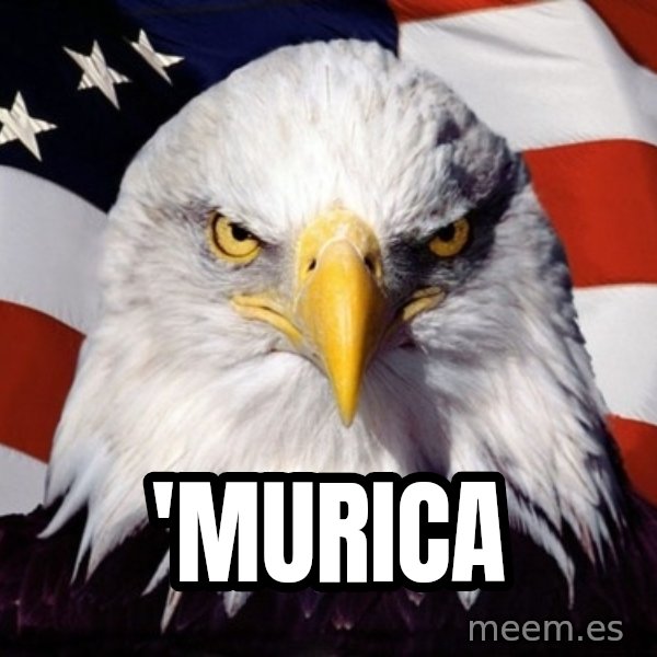 American Pride Eagle meme: 'Murica