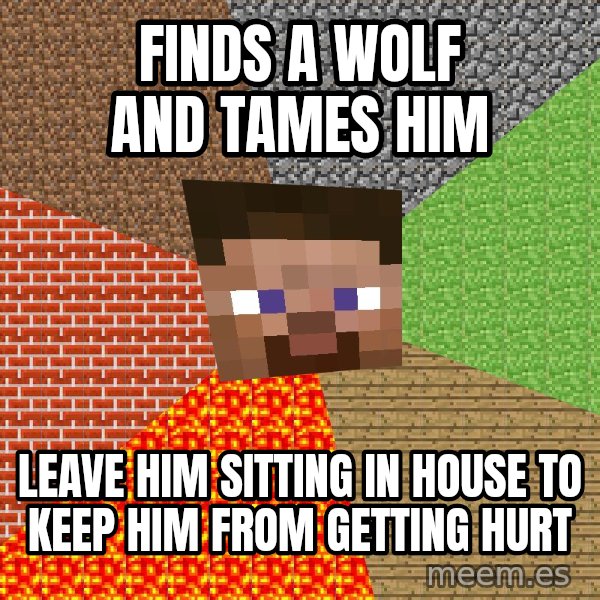 Minecraft Guy meme: finds a wolf and tames him / leave him sitting in house to keep him from getting hurt