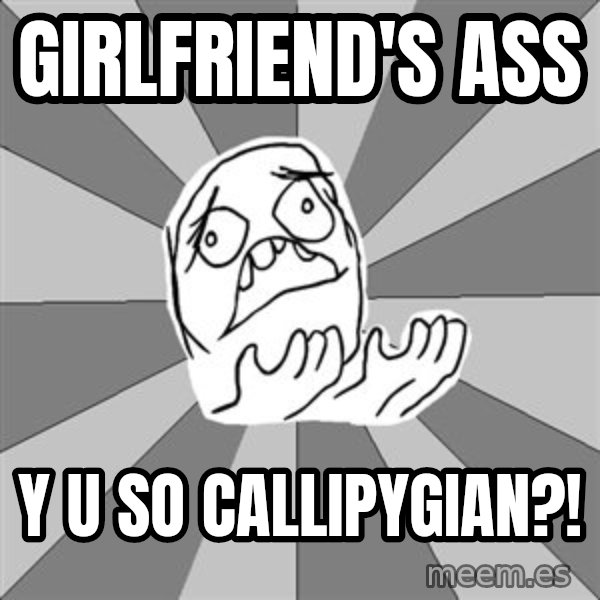 Whyyy??? meme: Girlfriend's ASS / y u so callipygian?!