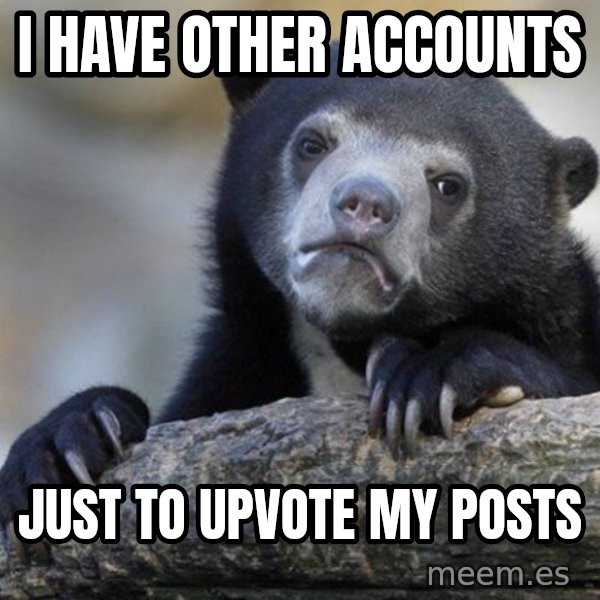 Confession Bear meme: i have other accounts / just to upvote my posts