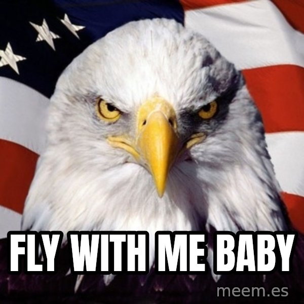 American Pride Eagle meme: Fly With Me Baby