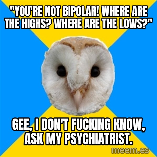Bipolar Owl meme: "You're not bipolar! Where are the highs? Where are the lows?" / Gee, I don't fucking know, ask my psychiatrist.