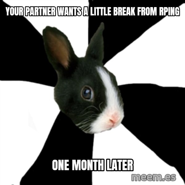 Roleplaying Rabbit meme: Your partner wants a little break from rping / one month later
