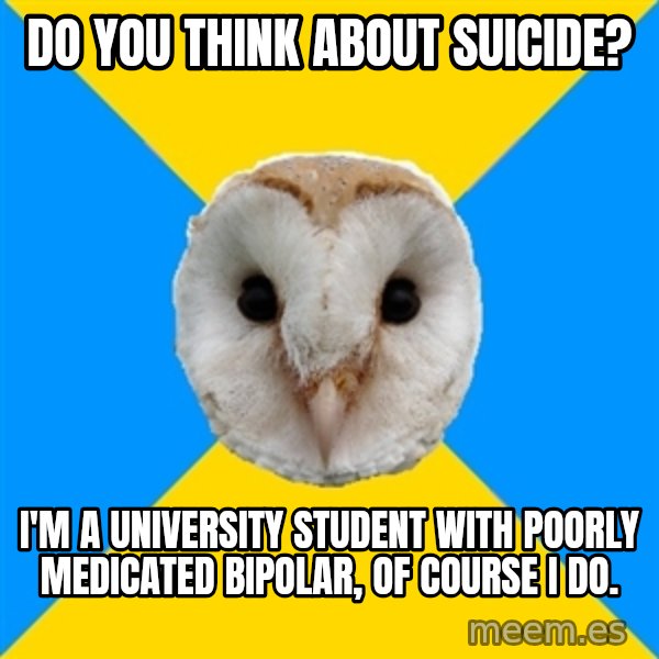 Bipolar Owl meme: Do YOU THINK ABOUT SUICIDE? / i'M A UNIVERSITY STUDENT WITH POORLY MEDICATED BIPOLAR, OF COURSE I DO.