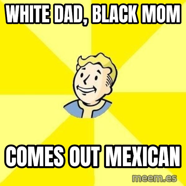 Fallout 3 meme: WHITE DAD, BLACK MOM / Comes Out Mexican
