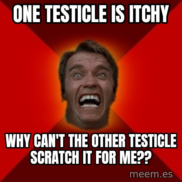 Angry Arnold meme: One testicle is itchy / Why can't the other testicle scratch it for me??