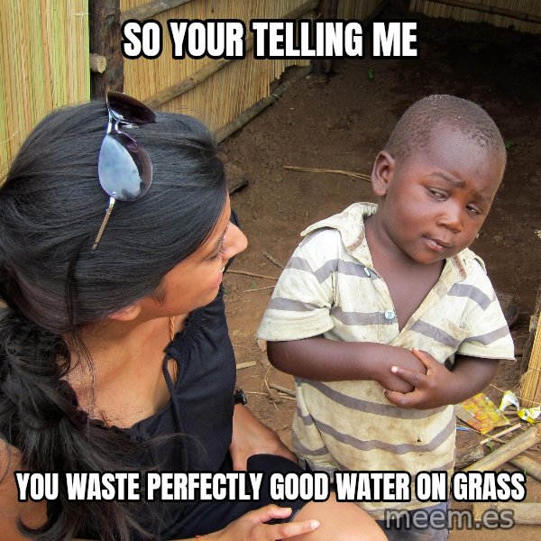 Skeptical African Child meme: so your telling me / you waste perfectly good water on grass