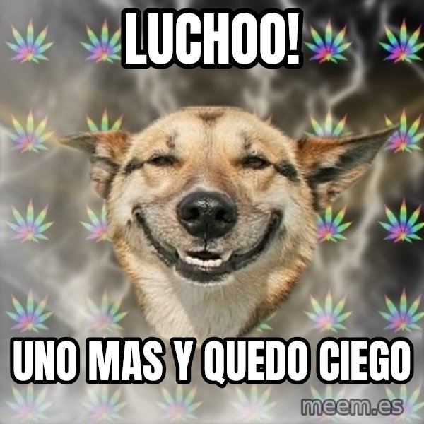 Stoner Dog meme: Luchoo! / Uno Mas y Quedo ciego