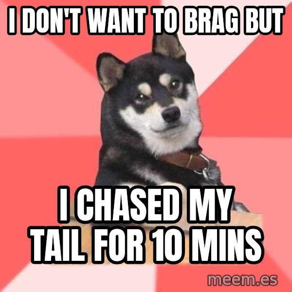 Cool Dog meme: i don't want to brag but / i chased my tail for 10 mins
