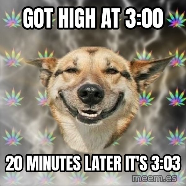 Stoner Dog meme: got high at 3:00 / 20 minutes later it's 3:03