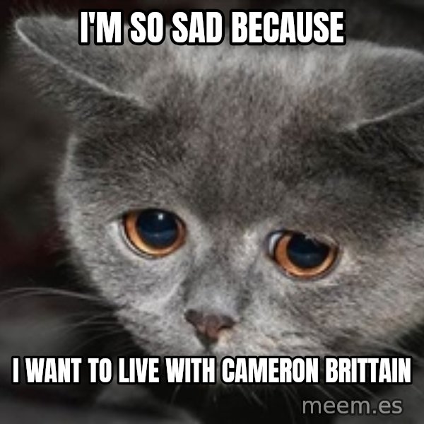 Sadcat meme: I'm so sad because / I want to live with Cameron Brittain