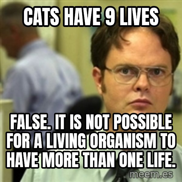 Dwight Schrute meme: Cats have 9 lives / False. It is not possible for a living organism to have more than one life.