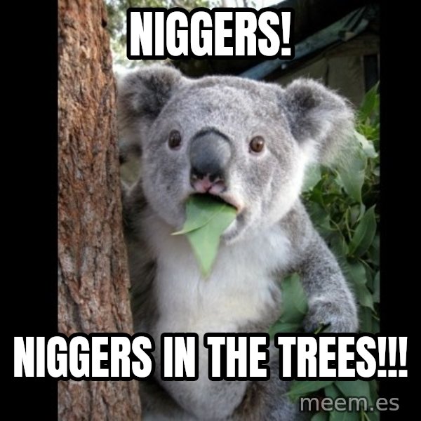 Koala can't believe it meme: NIGGERS! / NIGGERS IN THE TREES!!!