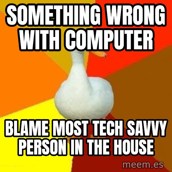 Technologically Impaired Duck meme: something wrong with computer / blame most tech savvy person in the house