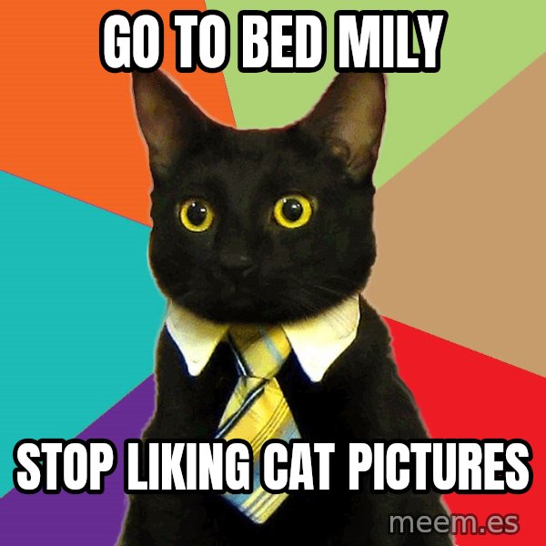 Business Cat meme: Go to bed mily / stop liking cat pictures