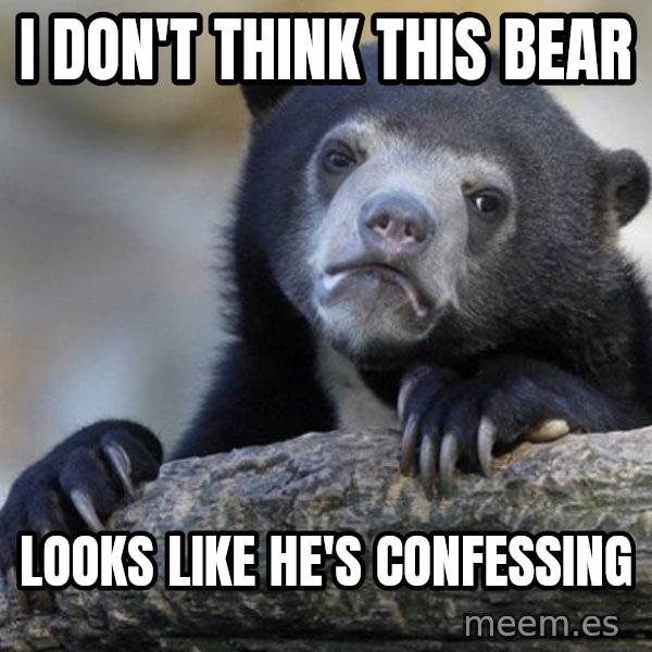 Confession Bear meme: I don't think this bear / looks like he's confessing