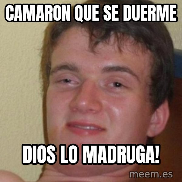 really high guy meme: Camaron que se duerme / dios lo madruga!