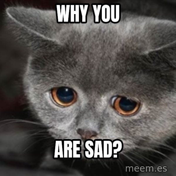 Sadcat meme: Why you / are sad?