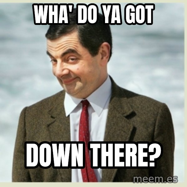 MR bean meme: Wha' do ya got / down there?