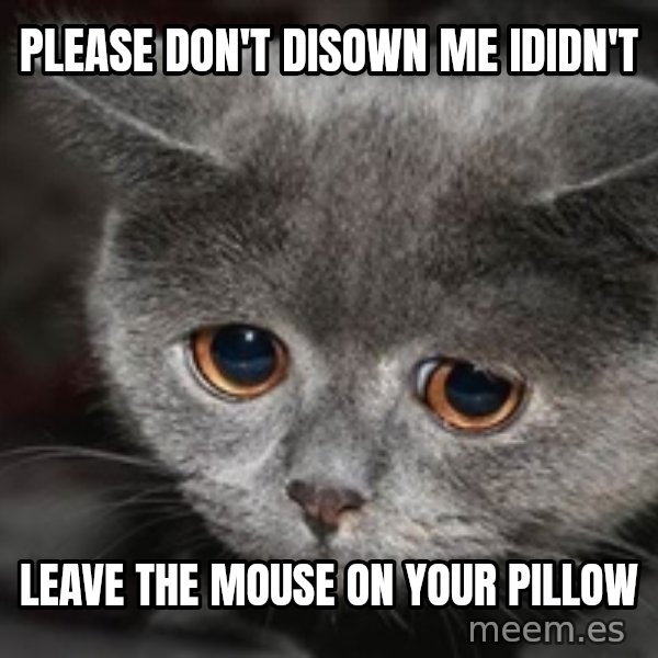 Sadcat meme: please don't disown me ididn't / leave the mouse on your pillow