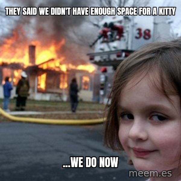 Disaster Girl meme: They said we didn't have enough space for a kitty / ...We do now