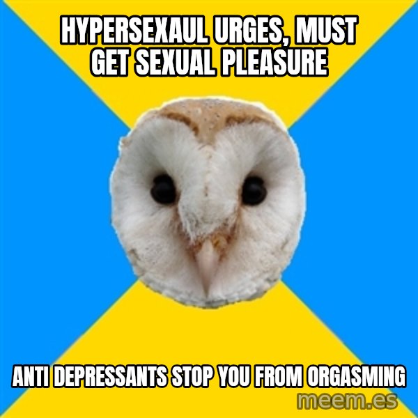 Bipolar Owl meme: Hypersexaul urges, must get sexual pleasure / anti depressants stop you from orgasming