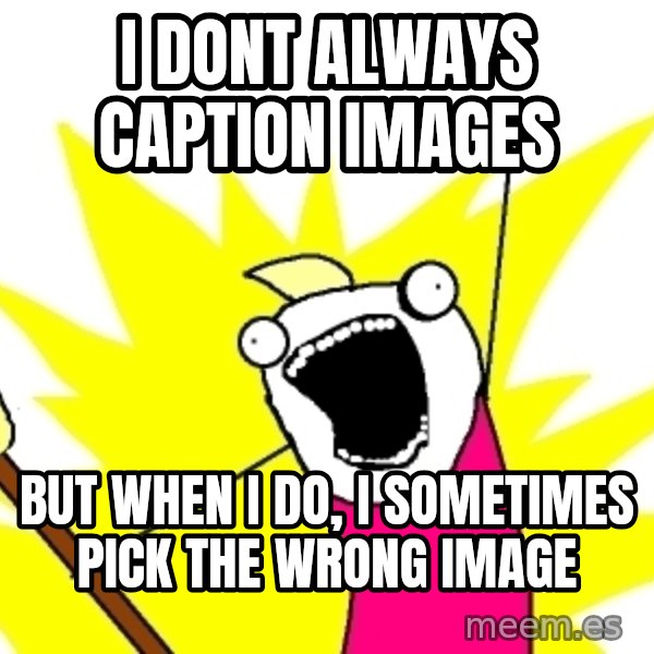 X ALL THE THINGS meme: i dont always caption images / but when i do, i sometimes pick the wrong image