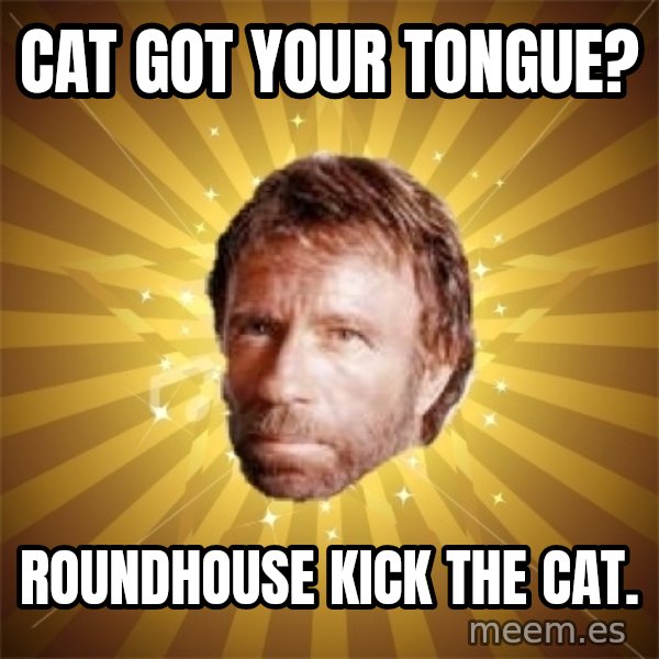 Chuck Norris Advice meme: cat got your tongue? / roundhouse kick the cat.