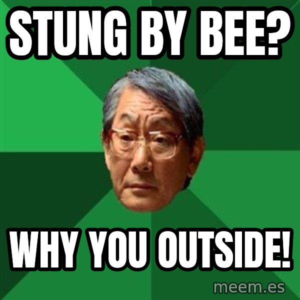 High Expectations Asian Father meme: stung by bee? / why you outside!