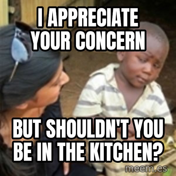 Skeptical 3rd World Kid meme: I APPRECIATE YOUR CONCERN / BUT SHOULDN'T YOU BE IN THE KITCHEN?