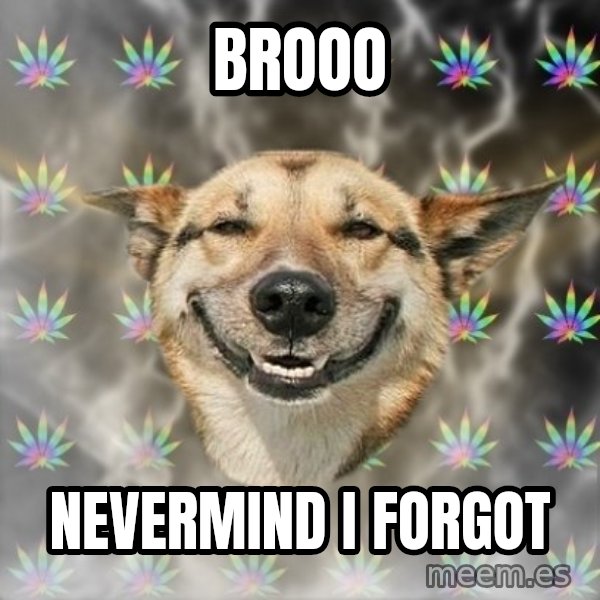 Stoner Dog meme: BROOO / Nevermind i forgot