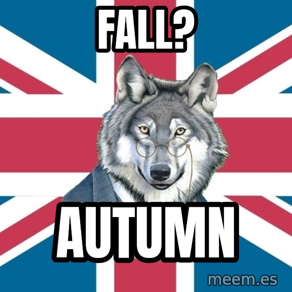Sir Courage Wolf Esquire meme: fall? / AUTUMN