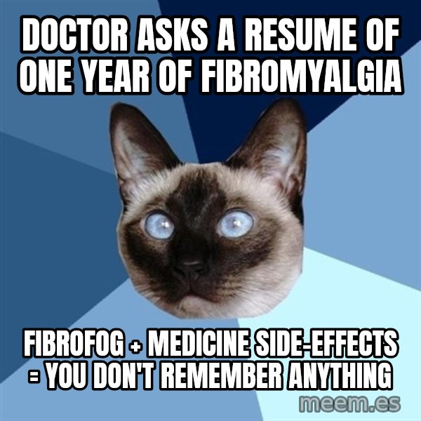 Chronic Illness Cat meme: Doctor asks a resume of one year of fibromyalgia / Fibrofog + medicine side-effects = you don't remember anything