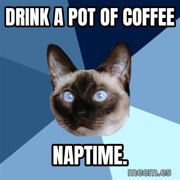 Chronic Illness Cat meme: DRINK A POT OF COFFEE / NAPTIME.