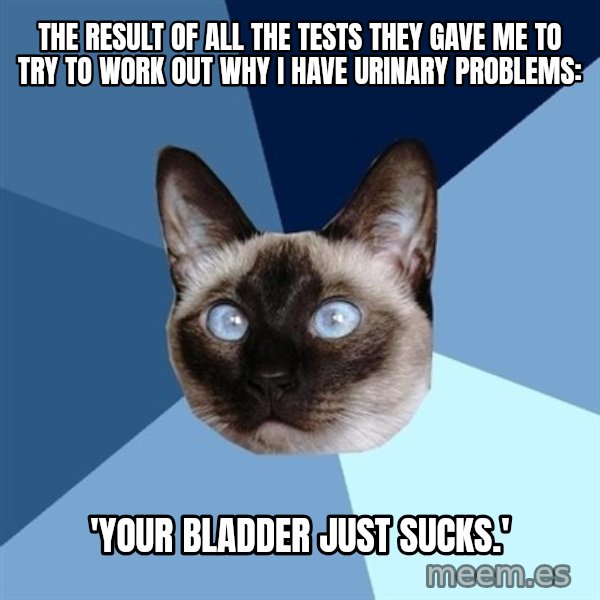 Chronic Illness Cat meme: the result of all the tests they gave me to try to work out why i have urinary problems: / 'your bladder JUST sucks.'