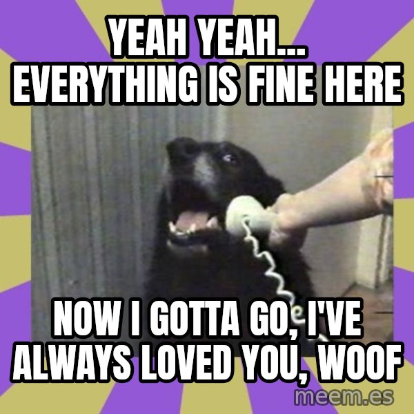 Yes, this is dog! meme: yeah yeah... everything is fine here / now i gotta go, i've always loved you, WOOF