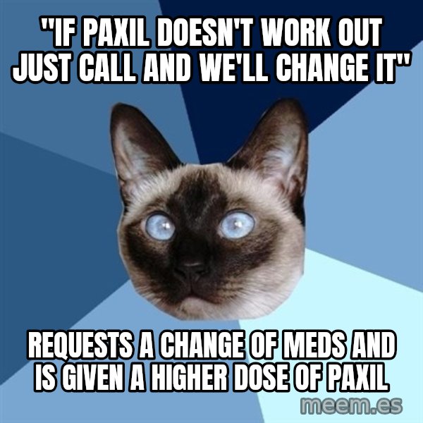 Chronic Illness Cat meme: "If paxil doesn't work out just call and we'll change it" / Requests a change of meds and is given a higher dose of paxil