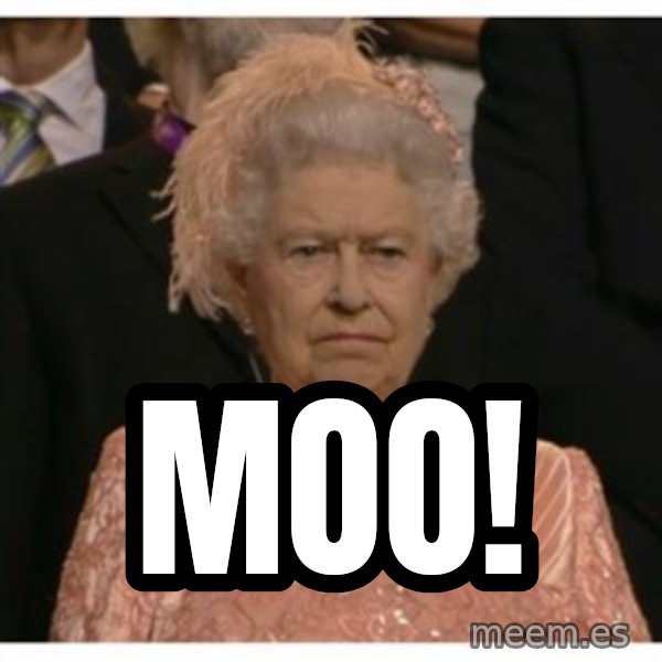 Unimpressed Queen meme: moo!