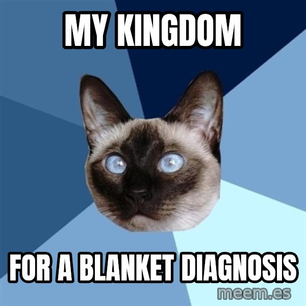 Chronic Illness Cat meme: my kinGDOM / FOR A BLANKET DIAGNOSIS