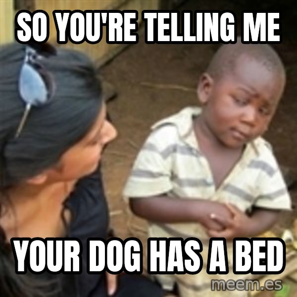 Skeptical african kid  meme: So you're telling me / Your dog has a bed