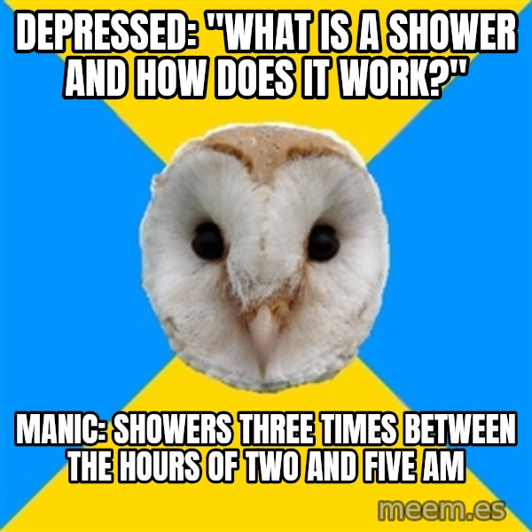 Bipolar Owl meme: Depressed: "What is a shower and how does it work?" / Manic: showers three times between the hours of two and five am