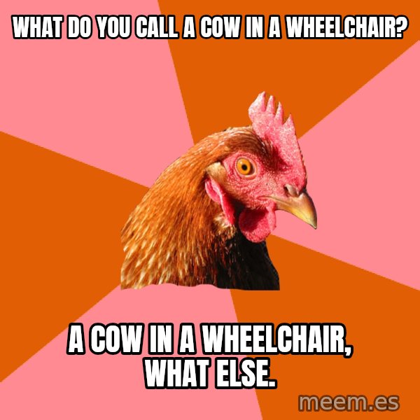 Anti Joke Chicken meme: What do you call a cow in a wheelchair? / A cow in a wheelchair, what else.