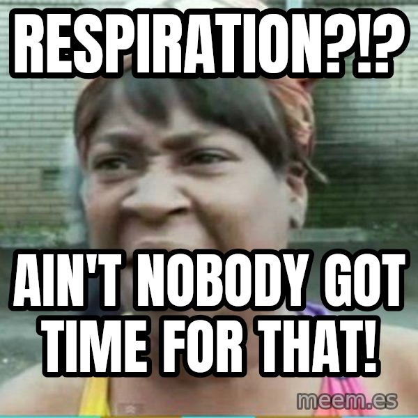 Sweet Brown Meme meme: respiration?!? / ain't nobody got time for that!
