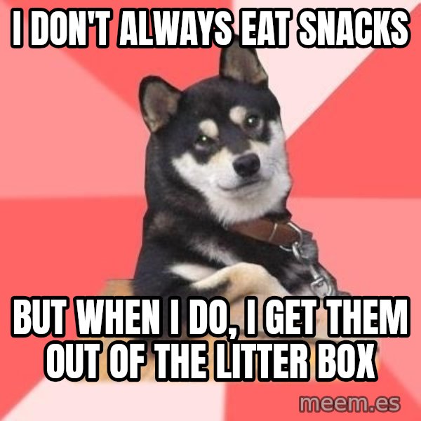 Cool Dog meme: I don't always eat snacks / but when i do, i get them out of the litter box