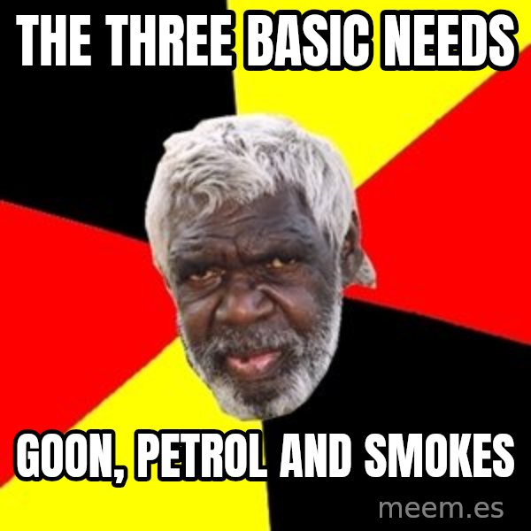 Aboriginal meme: the three basic needs / goon, petrol and smokes